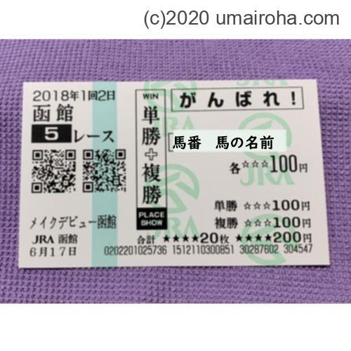 いろいろな種類がある中で競馬初心者が選ぶ馬券（券種）はこれです