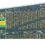 競馬初心者が楽しめるレースとは？　違いや注目点などをざっくり解説