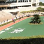 初心者でも大丈夫な馬の選び方1/3 馬は見た目がかわいいんです