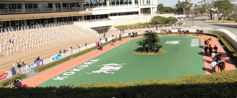 初心者でも大丈夫な馬の選び方1/3 馬は見た目がかわいいんです