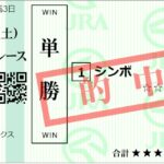 2023年　7/8土　の活躍推し馬
